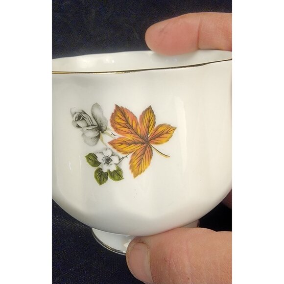 Vintage Royal Dover Bone China Teacup and Saucer Set - Picture 16 of 16